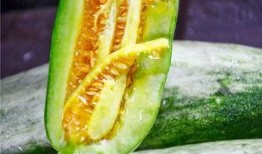 各种吃瓜网红,揭秘网络红人的美食世界