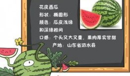 推荐免费吃瓜网站大全,揭秘热门免费娱乐资讯平台