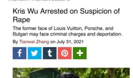 吃瓜网红事件,揭秘网络舆论背后的真相与争议